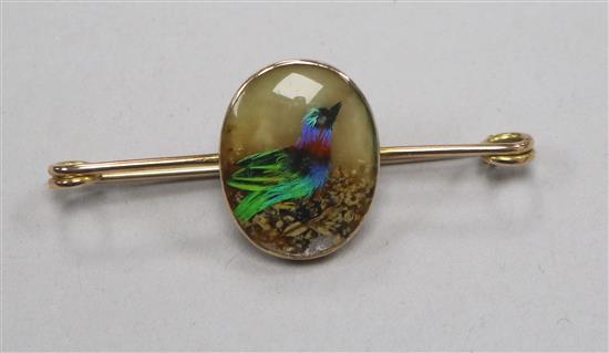 An early 20th century yellow metal bar brooch with oval glazed panel decorated with a bird, 50mm.